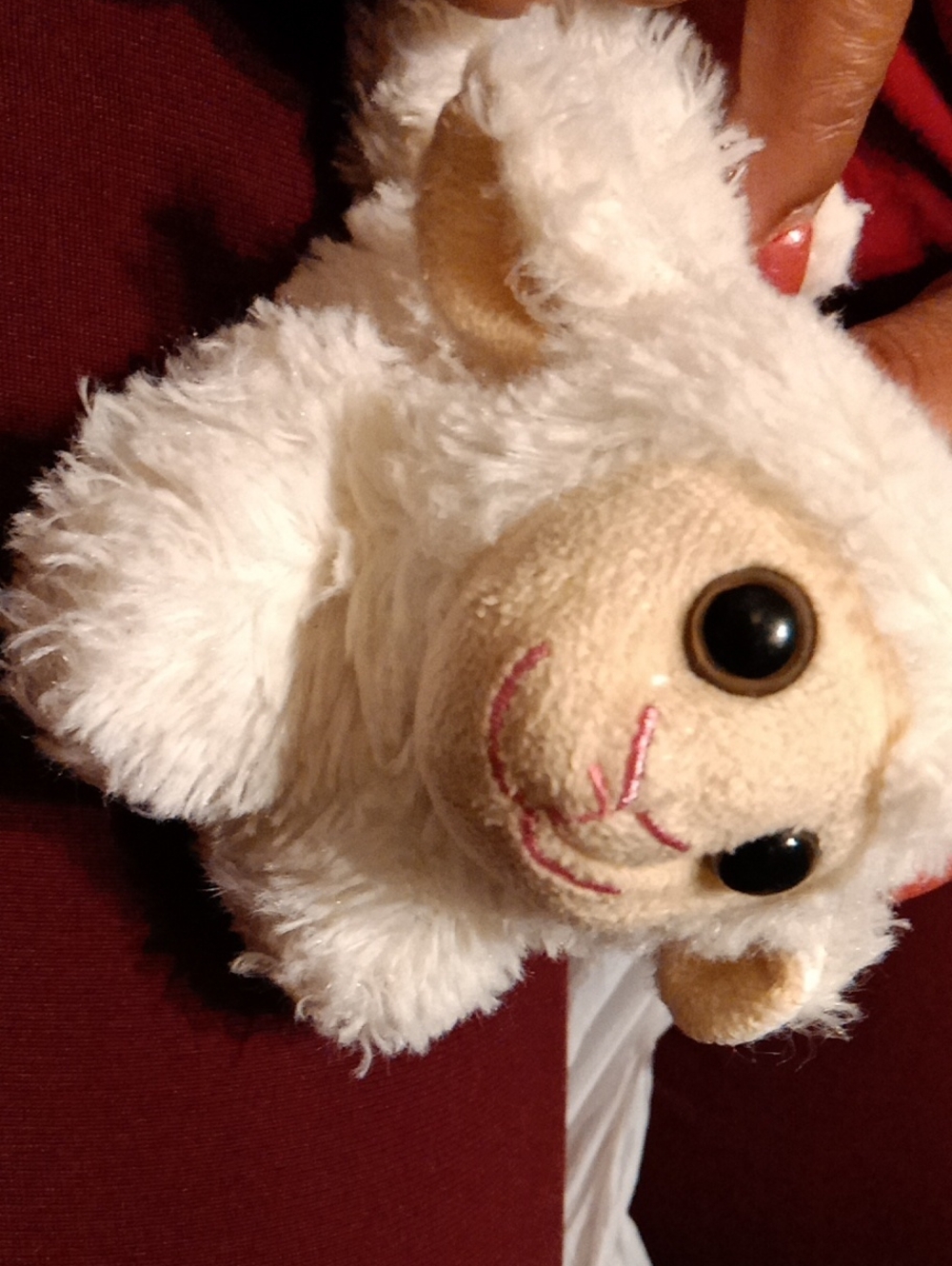 Plush White Lamb Small Pet Toy - Soft Squeaky Companion